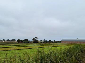 Terreno / Lote · 1300m² · Vendo Terreno Agricola y /o Industrial