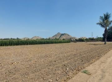 Terreno agrícola , Lima · Alquilo o Vendo Terreno en Lurin 13500 m²