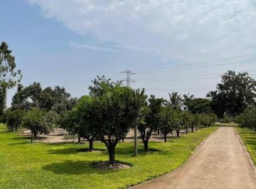 Terreno / Lote · 350m² · 6 Dormitorios · 10 Estacionamientos · Terreno 2 Hectáreas en Pachacamác, Cerca Canal 4