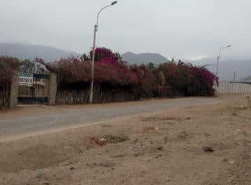 Terreno agrícola , Cañete · Chilca Zonificación Industrial y Rural, Terreno 10,000 m² Limpios y Aplanados