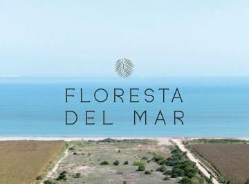 Terreno / Lote , Pisco · Venta de Lotes Condominio Floresta del Mar Km 214 Panamericana Sur