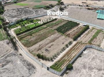 Terreno / Lote de 4 habitaciones, Lima · ¡Venta Terreno 13,900 m² en Pachacamac!