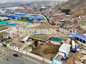 Local comercial , Huaral · Venta de Local Comercial de 9,890 m² en Plena Av Roosevelt - Chancay