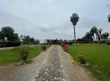 Casa de 5 habitaciones, Cañete · Casa de Campo Mala