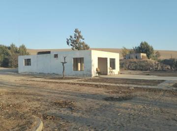 Terreno / Lote de 1 habitación, Pisco · Ocasión Vendo Terreno en Pisco Acceso Directo a 80 m de La Panamericana Sur