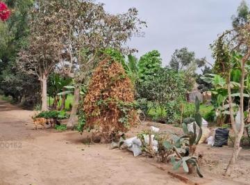 Terreno agrícola · Terreno Agrícola en Venta en Lurín