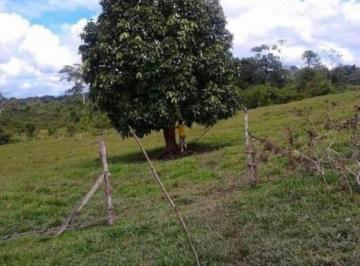 Terreno / Lote , Maynas · Remato Terreno en Iquitos Caserio Paujil Km 35 Iquitos Nauta