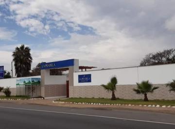 Terreno / Lote , Cañete · Terreno Cerro Azul Km 128.5 Playa Los Lobos 500 m² Condominio La Pradela