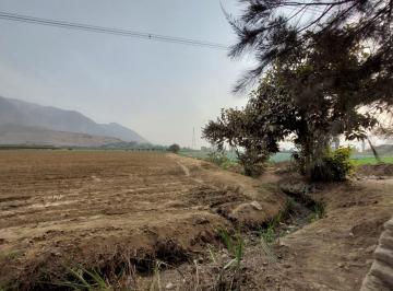 Terreno / Lote , Lima · Venta de Terrenos Agricolas por Hectáreas en Carabayllo Tupac Amaru