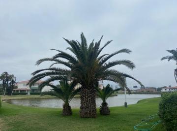Terreno / Lote , Lima · Venta de Ocasión: Casa a Estrenar Islas de San Pedro