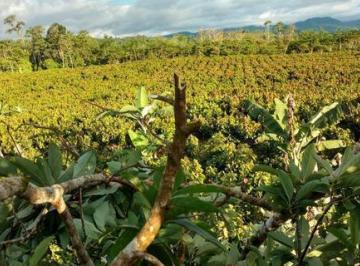 Terreno / Lote · 56000ha · Venta de Terreno Agricola / 5.6 Ha /casma