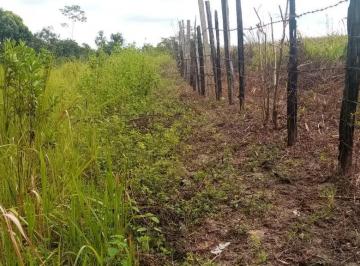 Terreno / Lote · 330000m² · Terreno - Calleria
