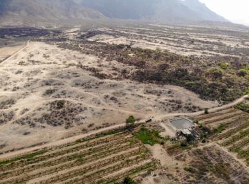 Terreno agrícola , Lambayeque · Terreno Agricola Venta Olmos 450 Ha