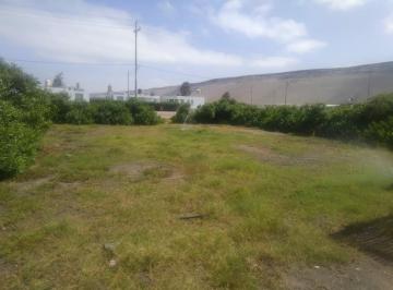 Terreno / Lote , Islay · ¡Terreno Exclusivo en Gaviotas, Punta de Bombón, Arequipa!