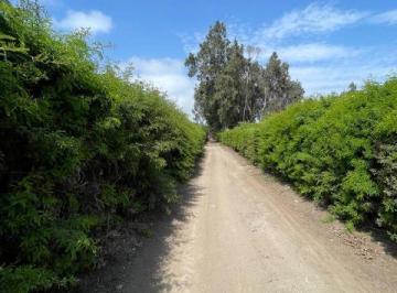 CERCO VIVO · Vendo Terreno en Mala, Lumbreras