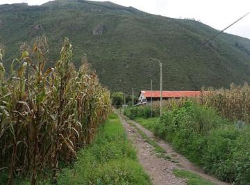 Terreno / Lote , Calca · Terreno en Venta - Valle Sagrado - Area 1000 m²