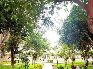 Terreno / Lote , Lima · Oportunidad de Inversion! Cerca Municipalidad Los Olivos, Terreno Frente Parque