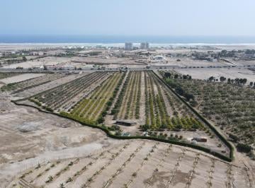 Terreno / Lote , Cañete · Venta de Terreno en Asia de 50,000 m²