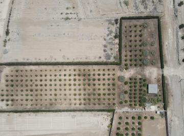 Terreno / Lote , Cañete · Venta de Terreno Agricola en Asia de 6,456 m² - Cerca a La Playa