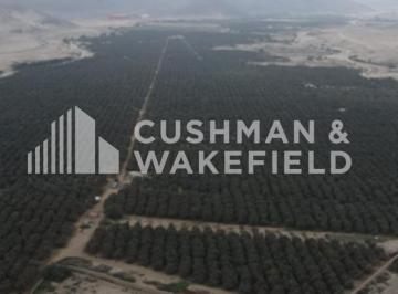 Terreno / Lote , Cañete · Venta de Terreno Para Desarrollo en Chilca