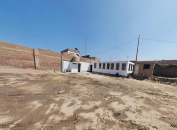Terreno / Lote , Callao · Alquilo Terreno Cercado Zona Industrial, Ventanilla Callao