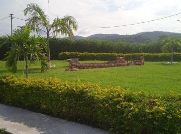 Terreno / Lote , San Martin · ¡Aprovecha! 4 Lotes, Ideal Para Proyecto Turistico Vacacional en San Martín