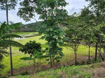 Terreno / Lote , San Martin · Excelente Ubicación en San Martin Lote de Terreno