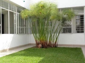 Casa de 4 habitaciones, Lima · Excelente Casa en Alquiler Para Oficina en Miraflores