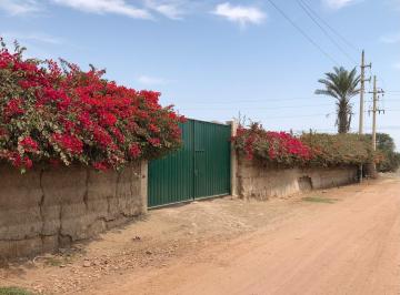 Terreno / Lote , Chincha · Vendo Terreno de Ocasión en Alto Laran - Chincha
