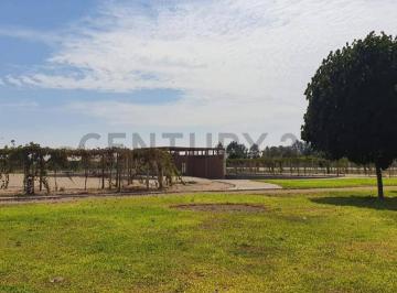 Terreno / Lote , Ica · Venta de Terreno Residencial en Condominio La Finca Villacuri - Ica