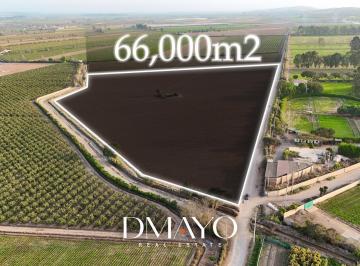 Terreno / Lote · 66000ha · Se Vende Terreno de 6.6 Hectáreas en Quilmana Cañete