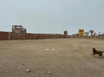 Terreno / Lote , Lima · Alquilo Terreno Amplio en La Panamericana Sur a $1.50 El m² - Lurin