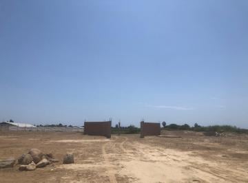 Terreno / Lote · 143500m² · Se Vende Lindo Terreno Rural en Grocio Prado Sector Pampa de Ñoco Chincha