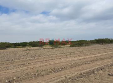 Terreno / Lote · 80000m² · Se Vende Predio Rural “la Ponderosa” Distrito de “el Carmen”