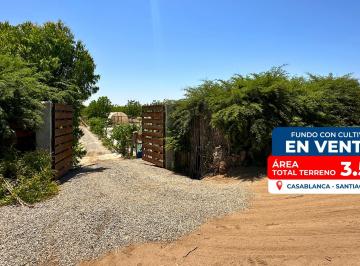 Terreno / Lote , Ica · Terreno Rústico con Plantaciones en Venta - Santiago (Ica)