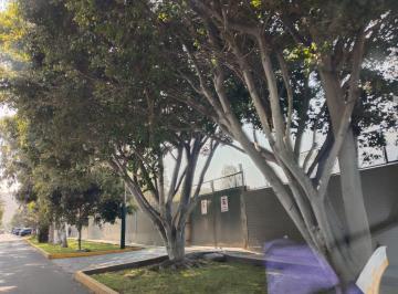 Terreno / Lote , Lima · Terreno en Venta Monterrico Educacion Basica E1