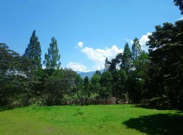 Terreno / Lote de 1 habitación, Oxapampa · Vendo Hermoso Terreno en Oxapampa