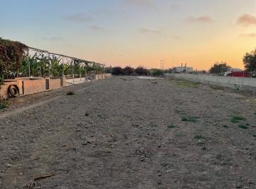 Terreno / Lote · 3000m² · Venta / Terreno en Encañada - San Vicente de Cañete