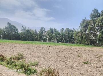 Terreno / Lote , Lima · Terreno Casa Campo Y/o Agricola Pachacamac