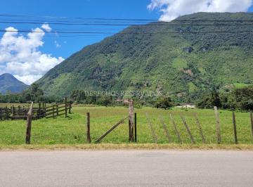 Terreno / Lote , Oxapampa · ¡Excelente Oportunidad! Terreno de 6 Hectáreas - Oxapampa
