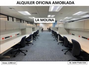 Oficina comercial , Lima · Alquiler Oficinas Amobladas - Av J. Prado Este - La Molina - 2,900 m² - 1500 m²