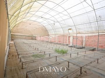 Terreno / Lote · 16000m² · 5 Estacionamientos · Venta Oportunidad de Inversión: Terreno de 16 Ht con Casa, Pozo de Agua y Vivero en Pachacamac