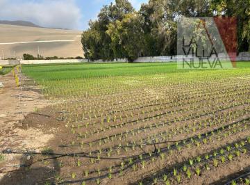 Terreno / Lote , Huaral · Venta Terreno Industrial Cerca Al Puerto de Chancay