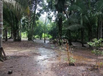 Terreno / Lote · 10000m² · Se Vende Terreno en Tambopata 1 Hectarea - Corredor Turistico