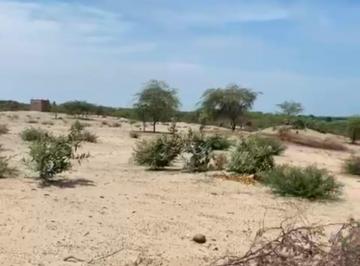 Terreno / Lote , Piura · Vendo Terreno de 40,120 m² a un Kilometro de La Entrada a La Ciudad de Piura.