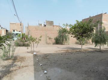 Terreno / Lote · 132m² · Terrenos Urbanos Listos Para Construir en Puente Piedra - Los Ciruelos - Opción de Compra Conjunta