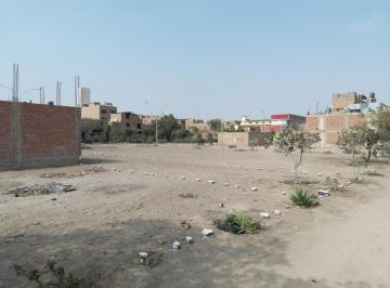 Terreno / Lote · 120m² · Terrenos Urbanos Planos en Puente Piedra – Calle Las Tunas, ¡Varias Opciones Disponibles!