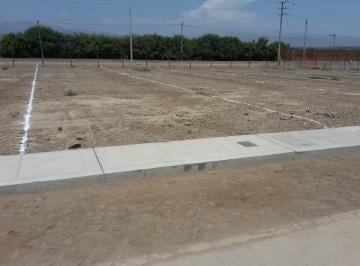 Terreno / Lote , Cañete · Venta/alquiler de Terrenos en Cañete