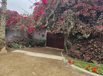 Casa de campo de 4 habitaciones, Cañete · Se Vende Fundo El Guanabano