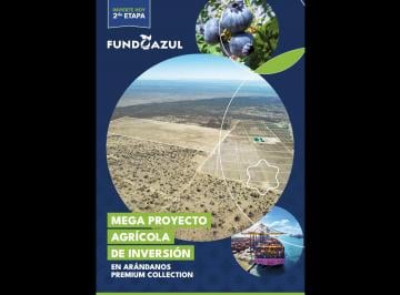 Terreno / Lote , Piura · Inversión Agroexportadora | Fundo Azul – 2da Etapalotes Agrícolas Productivos de Arándanos Premium